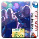 Souvenir 1 Schwany Radio