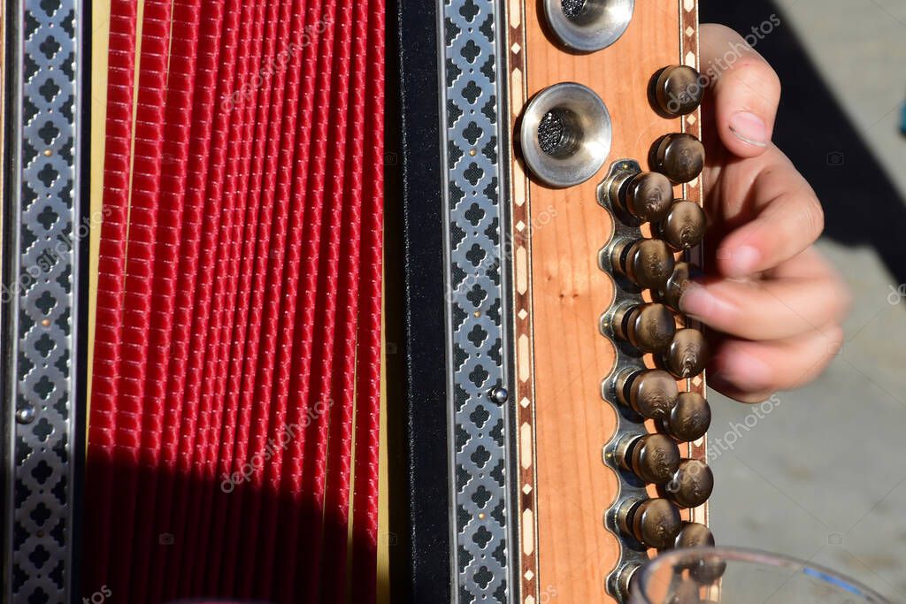 Volksmusikszene mit Akkordeon und Bergen